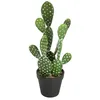 Image de Cactus artificiel H42cm - Atmosphera Créateur dintérieur