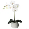Image de Orchidée artificielle pot ciment H53cm - Atmosphera Créateur dintérieur