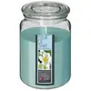 Image de Bougie Parfumée Fleur De Tiaré 510g - Atmosphera