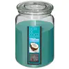 Image de Bougie Parfumée Noix De Coco 510g - Atmosphera