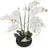 Image de Orchidée Artificielle Pot Céramique Noir H65cm - Atmosphera