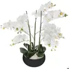 Image de Orchidée artificielle pot céramique noir H65cm - Atmosphera Créateur dintérieur