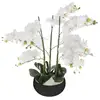 Image de Orchidée artificielle pot céramique noir h65cm ORCHIDEE