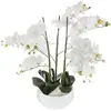 Image de Orchidée Artificielle Pot Céramique Blanc H65cm - Atmosphera