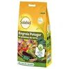 Image de Solabiol SOPOTY5B Engrais Potager Pommes De Terre 5 Kg Nutrition Longue durée Agriculture Biologique