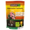 Image de Stimulateur Racinaire 10x10ml Solabiol - Sosiryl100n