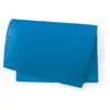 Image de Tapis fraicheur pour conservation de fruits et legumes BLEU - Tapis FRAICHEUR - 47 x 30 cm - Couleur Bleu