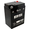Image de Batterie BS Battery SLA B38-6A 6V 13,7Ah activée usine