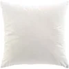 Image de Coussin Déco En Velours "casual" 60x60cm Naturel