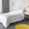 Image de Couette 1 personne 140 x 200 cm - DOUCEUR DINTERIEUR - Polyester - Anti acarien premium