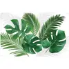 Image de Cdaffaires Set De Table 28.5 X 44 Cm Polypropylene Opaque Canopee