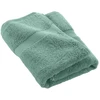 Image de Drap De Douche "elegance" 70x130cm Céladon