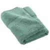 Image de Drap de douche elegance 70x130cm céladon 1802093