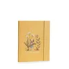 Image de livre de naissance trois petits lapins