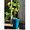 Image de Pot de fleurs - RIVIERA - SOLEILLA - Plastique - H52 x D39 cm - Bleu