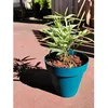 Image de Pot de fleurs rond - RIVIERA - SOLEILLA - Plastique - D59 x H54 cm - Bleu