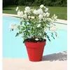 Image de Pot De Fleurs - Soleilla Rond - Ø 60 X 53,6 Cm - Rouge