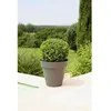 Image de Pot de fleurs - RIVIERA - Soleilla Rond - Ø 59 x 536 cm - Gris pailleté