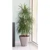 Image de Pot De Fleurs Avec Réserve D'eau - Loft Rond - Ø 49 X H 45 Cm -taupe