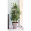 Image de Pot de fleurs avec réserve deau - RIVIERA - Loft Rond - Ø 49 x H 45 cm -Taupe