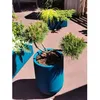 Image de Pot de fleurs rond - RIVIERA - GRANIT TULIPE - Plastique - D50 x H71 cm - Bleu