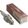 Image de JARDIN PRATIC Bougie dallumage pour tondeuse CHAMPION RN9YC