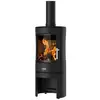 Image de Godin - poêle à bois fonte 8.5kw anthracite 388144anth - mirande 388144ANTH
