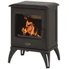 Image de Poêle à bois Godin 388146000053 fonte 5 kW noir
