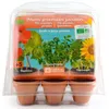 Image de Mini serre 6 pots PET - Premier jardin