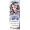 Image de LOréal Paris Cool Silver Soin Sublimateur de Gris - Argent Satiné