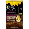 Image de Garnier Olia Coloration 5.3 Chatain Clair Doré