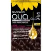 Image de Coloration permanente GARNIER Olia Sans ammoniaque - 4.12 Châtain cendre lumineux