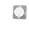 Image de Poussoir pour carillon Schneider Odace S520246