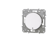 Image de Poussoir lumineux localisation Schneider Odace S520276