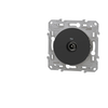 Image de Prise TV anthracite Schneider Odace S540445