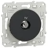 Image de Prise TV - SCHNEIDER ELECTRIC - ODACE - Individuelle - Coaxiale - Anti-UV