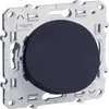 Image de SCHNEIDER ELECTRIC Sortie de câble Odace anthracite