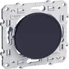 Image de SCHNEIDER ELECTRIC Obturateur Odace anthracite
