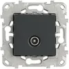 Image de Prise TV simple - Anthracite - Unica - Schneider