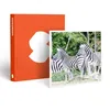 Image de Coffret Cadeau SMARTBOX - Journée au Parc Zoologique dAmnéville en famille - Journée au Parc Zoologique dAmnéville en famille