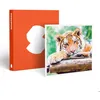 Image de Coffret Cadeau SMARTBOX - Journée au Parc Zoologique dAmnéville pour 2 adultes - Journée au Parc Zoologique dAmnéville pour 2