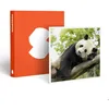 Image de Coffret Cadeau SMARTBOX - ZooParc de Beauval 2027 : entrée 1 adulte (1 journée) - ZooParc de Beauval 2027 : entrée 1 adulte (1