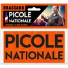 Image de Brassard - Picole Nationale - Déguisement - Soirée - Festival - Humour