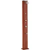Image de Douche Solaire Droite Alu Aspect Bois 40 L Avec Rince-pieds Et Brumisateur