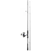 Image de Canne bateau Daiwa CTSB802HMHFS+CT20LT4000CJBX4DG 10-35 g