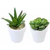 Image de Plante artificielle - Décorative - Succulente - Assortiment de 2 modèles - Céramique - Intérieur