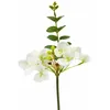 Image de Hortensias Blancs avec branche deucalyptus 38cm