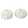 Image de 2 COQUILLES OURSIN DÉCO RÉSINE 2.5X4CM BLANC Blanc
