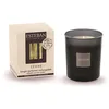 Image de Bougie Parfumée Initiale Rechargeable Esteban Cèdre