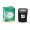 Image de Bougie parfumée initiale 180g Eau d'Amazonie, Estéban - ESTEBAN